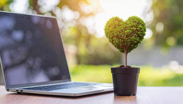 ハート型の小さな木とノートパソコン ハート型の小さな木とノートパソコンの写真