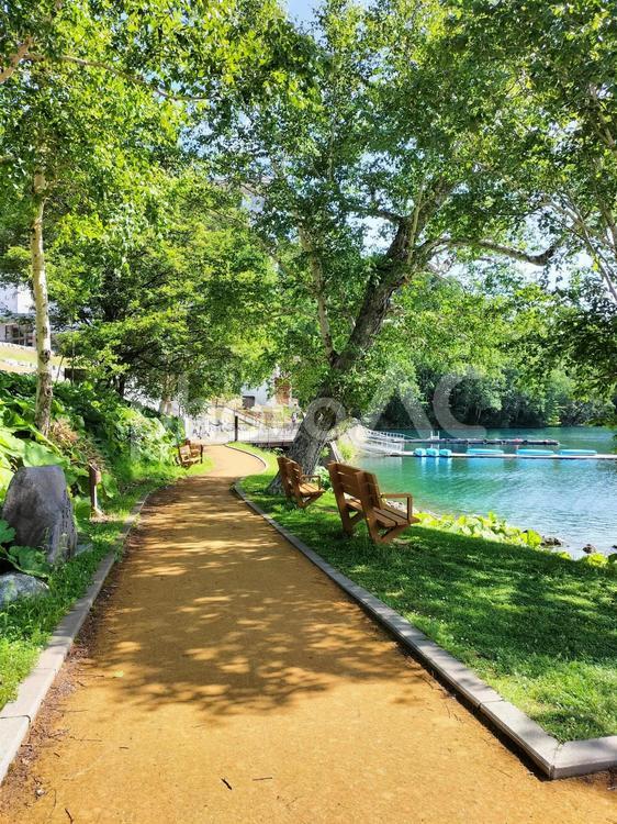 Morning　Stroll  朝,散歩,湖畔の写真素材