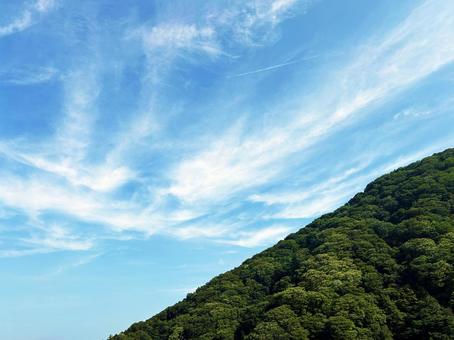 青空と新緑の木々 青空と新緑の木々の写真