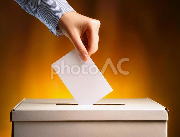 投票イメージ 投票,選挙,手の写真素材