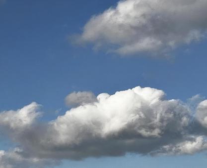 積雲_通称わた雲 積雲_通称わた雲の写真