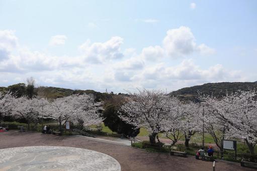 高塔山公園 高塔山公園の写真