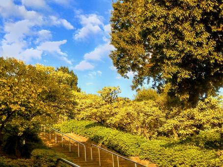 晴れた日のある公園入口付近 晴れた日のある公園入口付近の写真