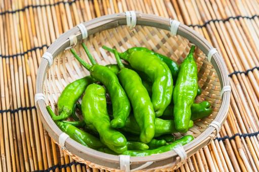 Fresh shishito peppers in a bamboo basket, JPG