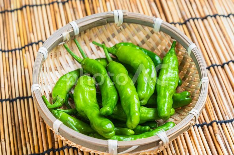 竹ざるに入った新鮮なししとう ししとう,野菜,獅子唐辛子の写真素材