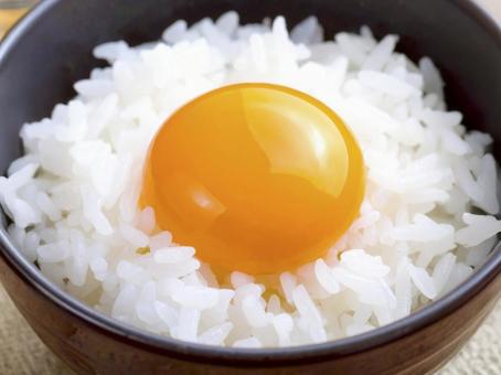 卵かけご飯 AI生成画像 卵かけご飯 AI生成画像 の写真