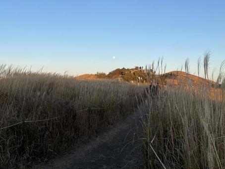 生石高原 生石高原,和歌山,高原の写真素材