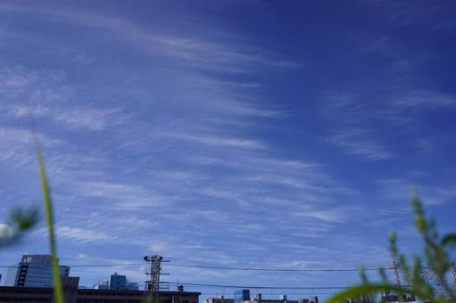 東神奈川駅付近から東の空、絹雲の群 東神奈川駅付近から東の空、絹雲の群の写真