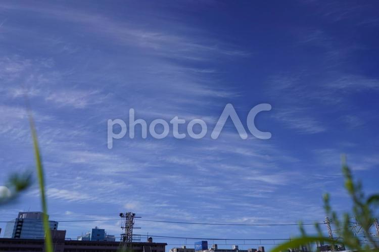 東神奈川駅付近から東の空、絹雲の群 青空,雲,空の写真素材