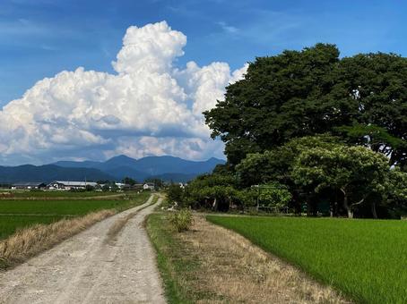 農道の向こうの入道雲 農道の向こうの入道雲の写真