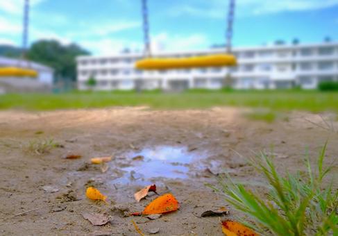 秋、落葉、ブランコ 秋、落葉、ブランコ 学校,ブランコ,グラウンドの写真素材