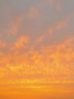 夕焼け 夕焼けの写真