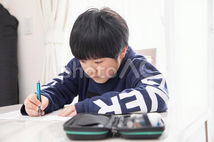 一生懸命学習する小学生　study 宿題,勉強,休校の写真素材