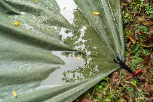 雨の朝のテント 雨の朝のテント 雨,朝,雨上がりの写真素材