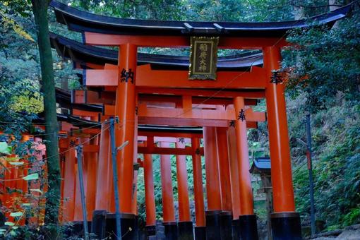 Torii gates of Fushimi Inari, JPG Torii gates of Fushimi Inari, JPG