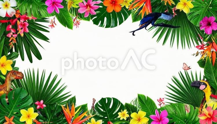 南国の花と鳥と恐竜のカラフルフレーム トロピカル,南国,熱帯の写真素材