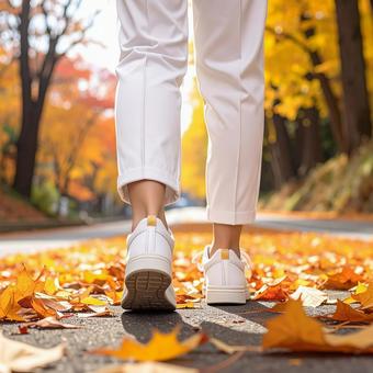 紅葉の道を散歩 紅葉の道を散歩の写真