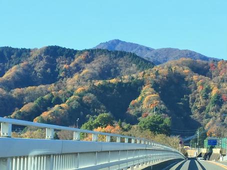 山道 山道 山道,橋,秋の写真素材