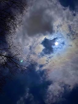 月夜 月夜 夜,月,月暈の写真素材