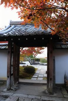 圓光寺　十牛之庭入口 圓光寺,十牛之庭,入口の写真素材