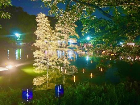 Omiya Park Pond stock photo 3, JPG Omiya Park Pond stock photo 3, JPG