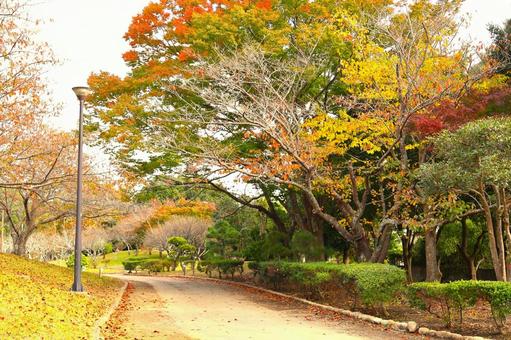 君津市内みのわ公園の「秋の散歩道」の写真