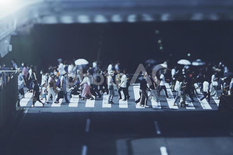 横断歩道を渡る人々 ビジネスイメージ 横断歩道,人,人々の写真素材