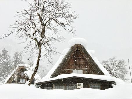 冬の白川郷3 冬の白川郷3の写真