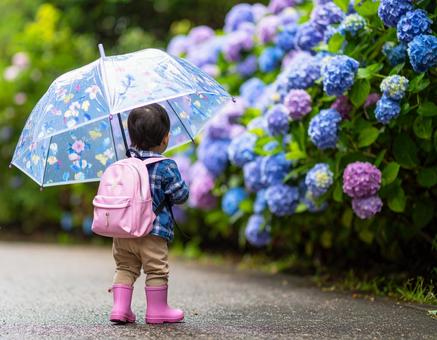 紫陽花と少女 紫陽花と少女の写真