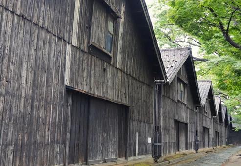 山居倉庫のケヤキ並木(山形県酒田市)2 山居倉庫のケヤキ並木(山形県酒田市)2 山居倉庫,山形県,酒田市の写真素材