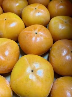 柿 柿,かき,果物の写真素材