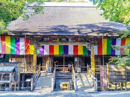 【高知県】高知市・竹林寺 竹林寺,寺院,お遍路の写真素材
