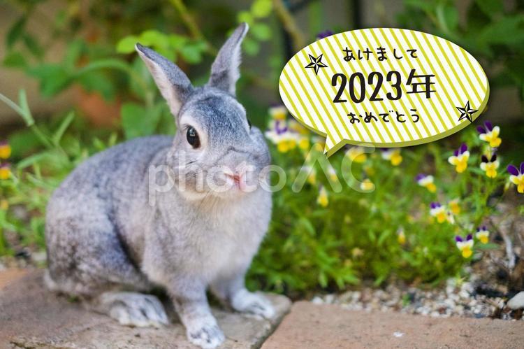 卯年_年賀状_うさぎのもんちゃん 年賀状,卯年,2023の写真素材