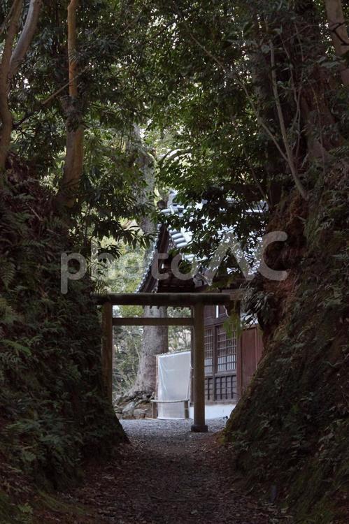 神社 - No: 33491324｜写真素材なら「写真AC」無料（フリー）ダウンロードOK