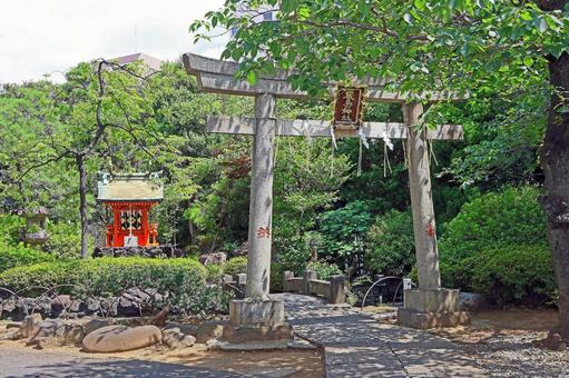 天祖・諏訪神社（品川） 天祖・諏訪神社,神明宮・諏訪社合祀,天照大御神の写真素材
