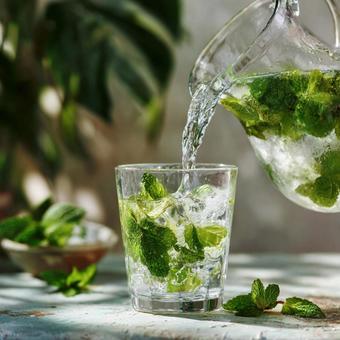 透明感あふれるミント入り冷水 透明感あふれるミント入り冷水の写真