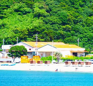 緑豊かな海水浴場 緑豊かな海水浴場の写真