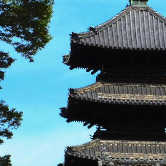 愛知県-興正寺-五重塔-近景の写真