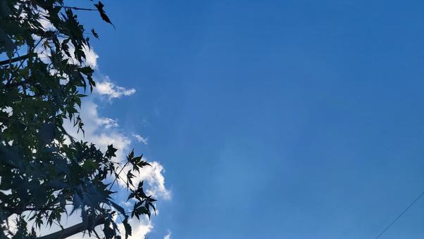 青空 青空の写真