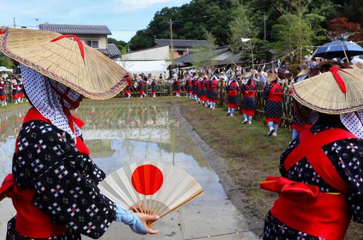 6月中旬の主基斎田お田植まつり斎田おどり 6月中旬の主基斎田お田植まつり斎田おどりの写真