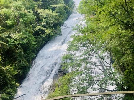 湯滝 湯滝 湯滝,奥日光,滝の写真素材