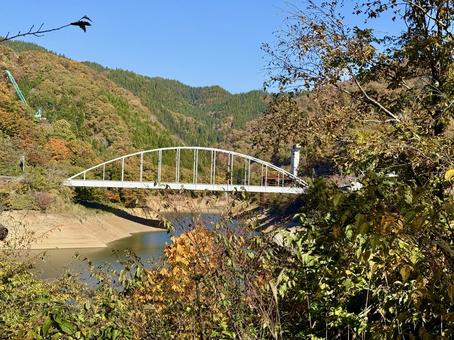 秋晴れの九頭竜湖　紅葉の山肌 夢のかけはし,吊り橋,ブリッジの写真素材