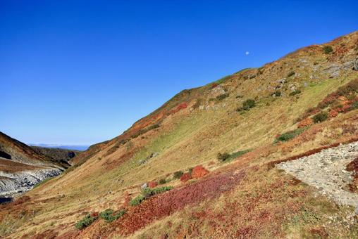10年ぶりの紅葉当たり年 10年ぶりの紅葉当たり年 北アルプス,立山,室堂の写真素材