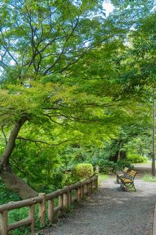 ［街角スナップ］公園散歩 散歩,道,小道の写真素材