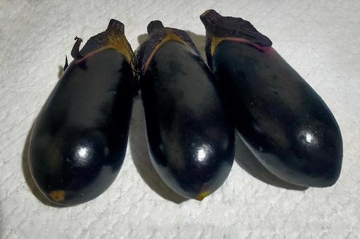 Eggplant Three Books, JPG Eggplant Three Books, JPG