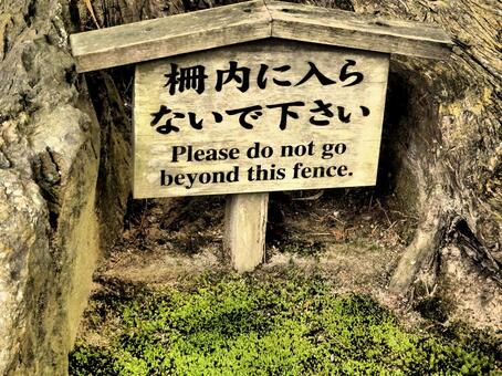 苔 看板 苔 看板の写真