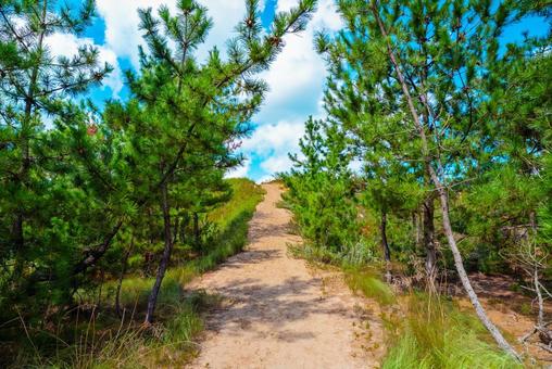 【鳥取】鳥取砂丘の入り口 砂丘,鳥取,鳥取砂丘の写真素材