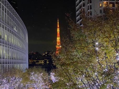 けやき坂のイルミネーションと東京タワー けやき坂,イルミネーション,六本木ヒルズの写真素材