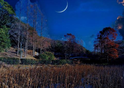 秋の夜の三日月 秋の夜の三日月 三日月,月,秋の写真素材