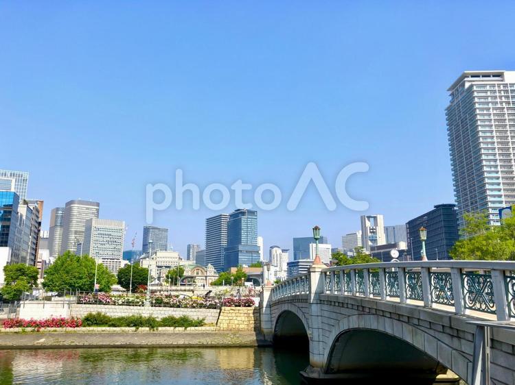 大阪　中之島バラ園　ばらぞの橋 中之島公園,大阪,中之島の写真素材
